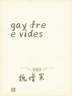 gay free vides封面
