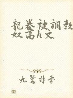 龙卷被调教成肉奴高h文