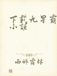 下载九星霸体诀小说封面
