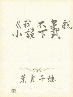 《我不是戏神》小说下载
