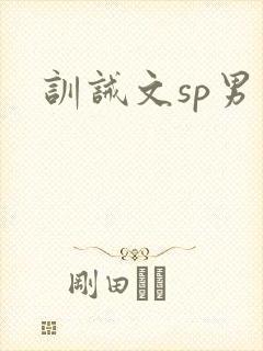 训诫文sp男男