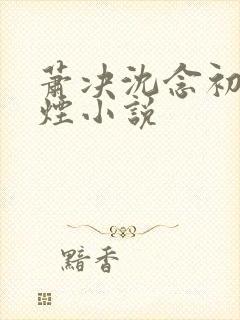 萧决沈念初柳如烟小说