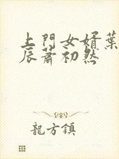 上门女婿叶辰叶辰萧初然