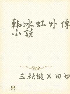 韩冰虹外传系列小说封面