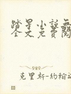 踏星小说无弹窗全文免费阅读封面