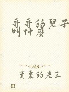 哥哥的儿子叫我叫什么封面