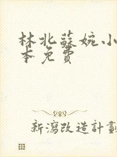 林北苏婉小说全本免费