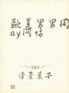 欧美男男同志gay网站