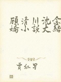 顾清川沈念李娇娇小说大结局