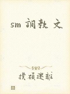 sm 调教 文