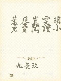 叶辰肖雯玥小说免费阅读小说封面
