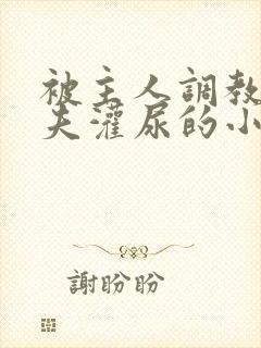被主人调教成荡夫灌尿的小说封面