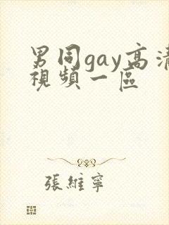 男同gay高清视频一区封面