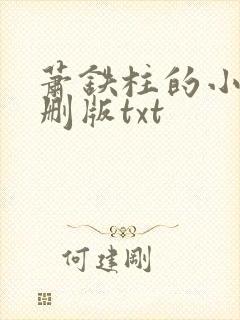 萧铁柱的小说未删版txt