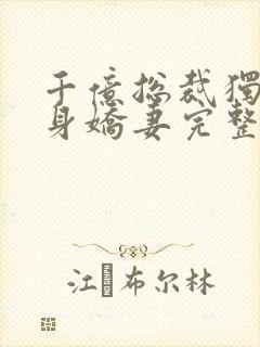 千亿总裁独宠替身娇妻完整版免费封面