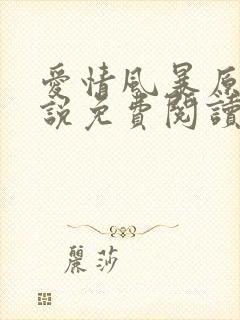 爱情风暴原著小说免费阅读