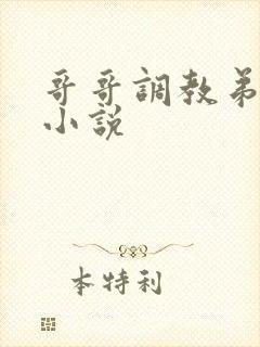 哥哥调教弟弟的小说封面