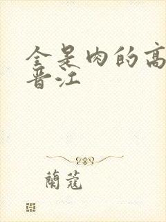 全是肉的高h文晋江封面
