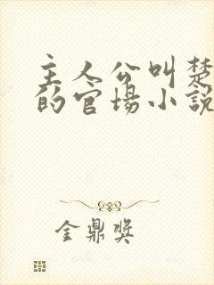 主人公叫楚东恒的官场小说