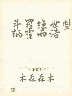 斗罗绝世双神权柄霍雨浩封面