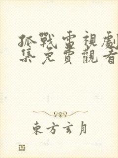 孤战电视剧40集免费观看高清版