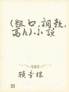 (粗口,调教,高h)小说