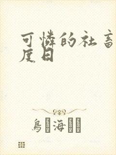 可怜的社畜 东度日