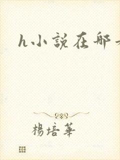 h小说在哪看封面