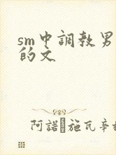 sm中调教男m的文封面