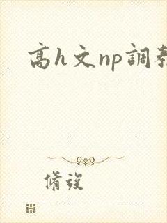 高h文np调教