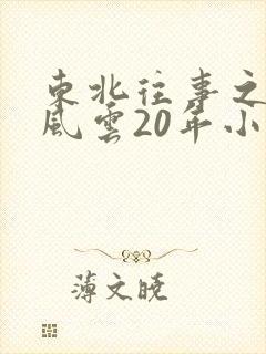 东北往事之黑道风云20年小说封面