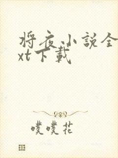 将夜小说全本txt下载