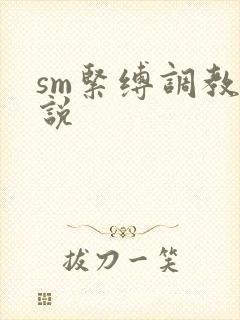 sm紧缚调教小说