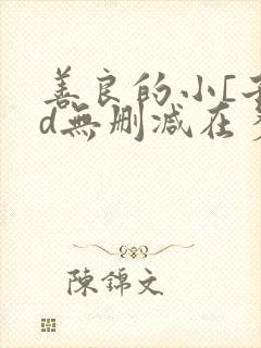 善良的小[子hd无删减在多少集封面
