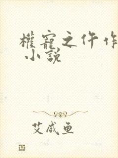 权宠之仵作医妃 小说封面