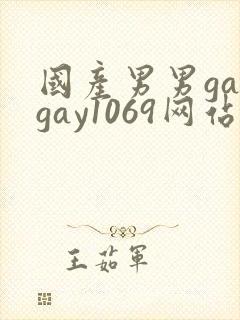 国产男男gaygay1069网站