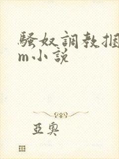 骚奴调教捆绑sm小说封面
