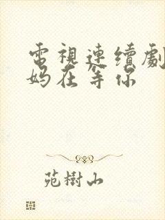电视连续剧 妈妈在等你