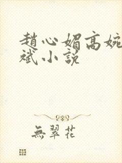 赵心媚高婉君陈斌小说