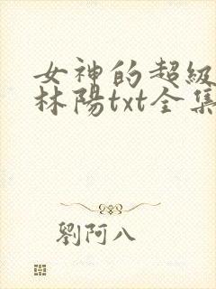 女神的超级赘婿林阳txt全集