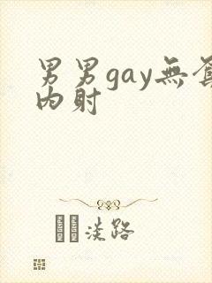 男男gay无套内射