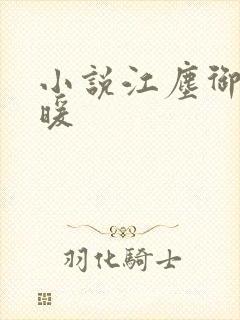 小说江尘御古暖暖