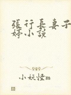 张行长妻子杨雨婷小说封面