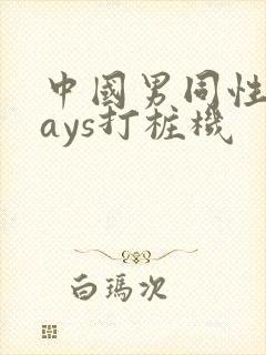 中国男同性恋gays打桩机