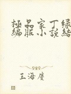 极品家丁绿帽改编版小说结局封面