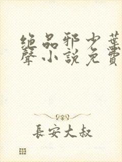 绝品邪少叶潇有声小说免费全本完整版