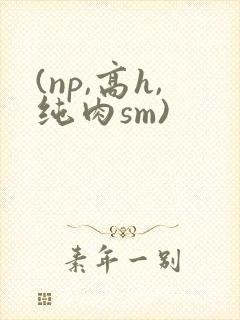 (np,高h,纯肉sm)