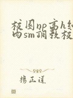 校园np高h纯肉sm调教校花封面