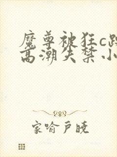 魔尊被狂c躁到高潮失禁小说