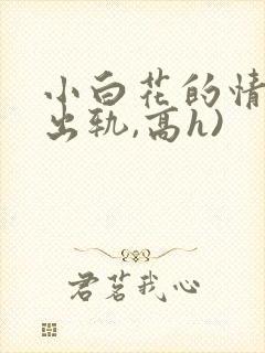 小白花的情史(出轨,高h)